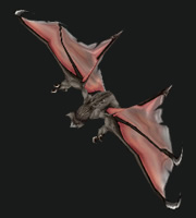 Hunter PvP Pet - Bat